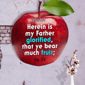 Ref : Herein* is my Father glorified, that ye bear much fruit;  John 15:8