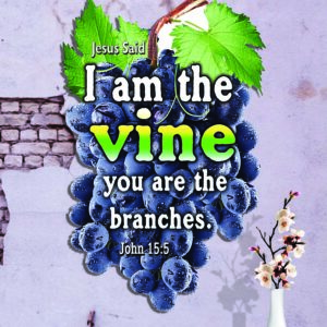 Ref :  I am the vine, you are the branches. John 15:5