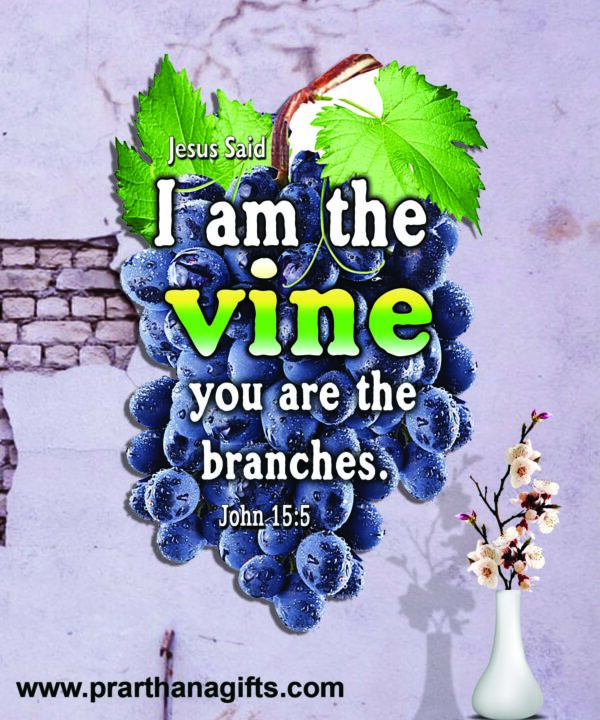 Ref :  I am the vine, you are the branches. John 15:5