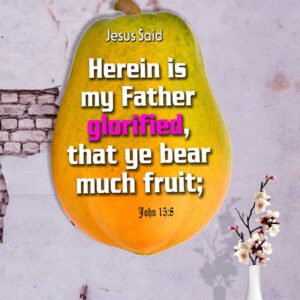 Ref : Herein* is my Father glorified, that ye bear much fruit; John 15:8